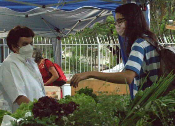 quintal-solidario-oferece-oficina-sobre-jardins-terapeuticos-nesta-quarta-(21)