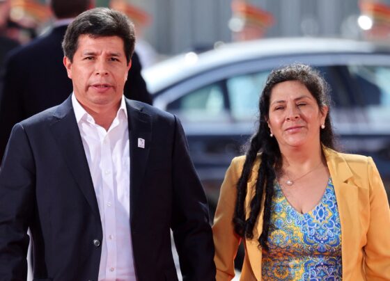 mexico-concede-asilo-a-familia-de-pedro-castillo,-ex-presidente-deposto-do-peru