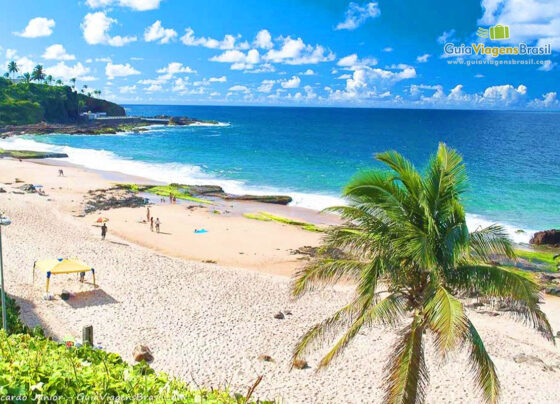 jogador-segue-de-ferias-enquanto-aguarda-galo-decidir-seu-futuro