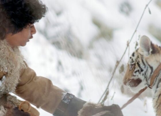 “o-menino-e-o-tigre”-estreia-no-proximo-ano-nos-cinemas