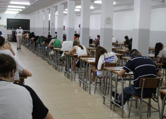 resultado-do-encceja-e-divulgado;-veja-como-consultar