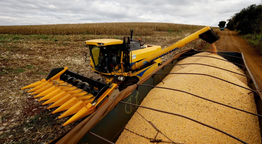 Queda menor do Agro no PIB do 2º tri surpreende e mostra setor forte, dizem economistas