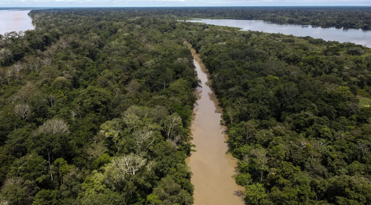 Lucro de produtos com biodiversidade pode não chegar aos povos indígenas, aponta pesquisa