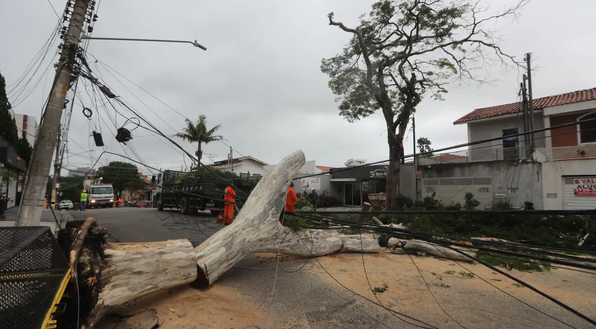Chuvas: cidade de São Paulo tem alagamentos, quedas de árvores e desabamento