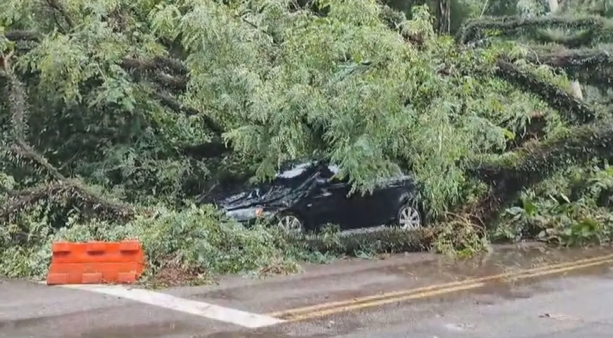 São Paulo tem previsão de tempestades até o final de semana