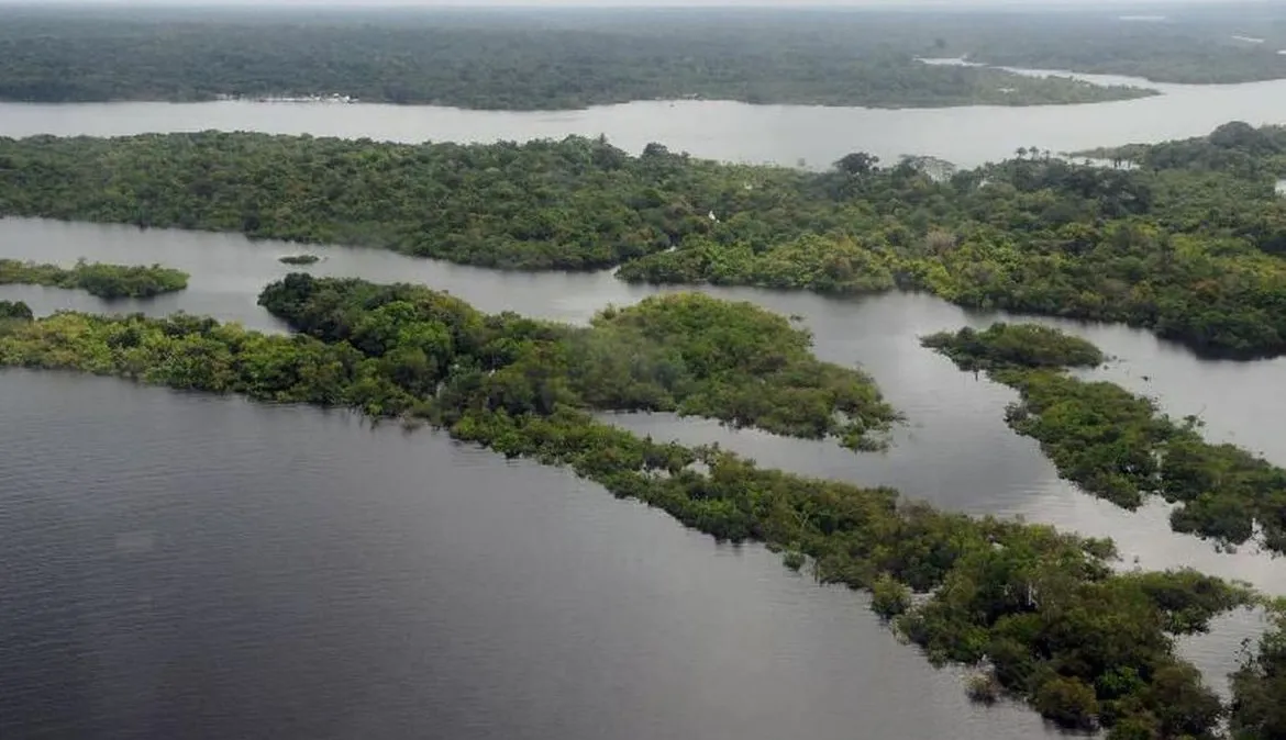 Fundo Amazônia recebeu R$ 726 milhões em 2023 e deve receber mais R$ 3,1 bilhões, diz governo