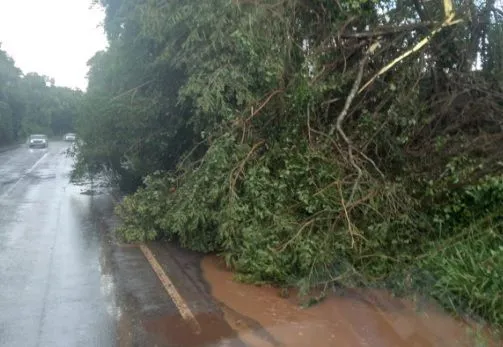 Santa Catarina registra estragos em estradas depois de temporal