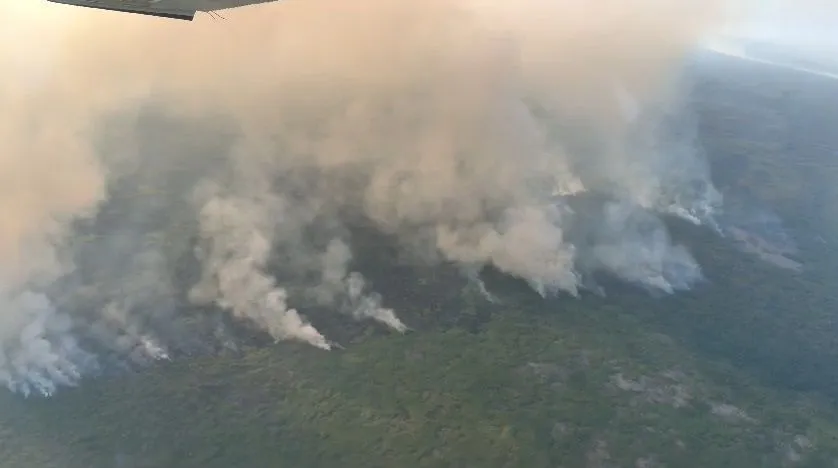 Pantanal: município sul-matogrossense lidera focos de incêndio em junho