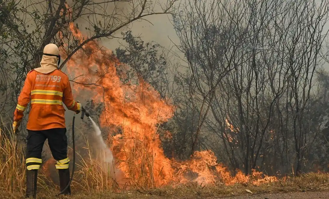 Fogo no Pantanal avança quase 400 mil hectares em uma semana e bloqueia rodovia