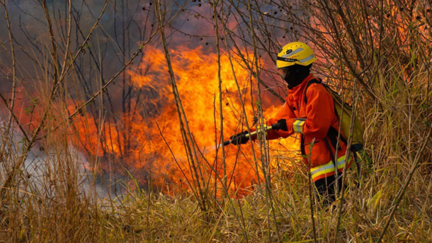 Candidatos de cidades recordistas em queimadas ignoram propostas de combate a incêndios