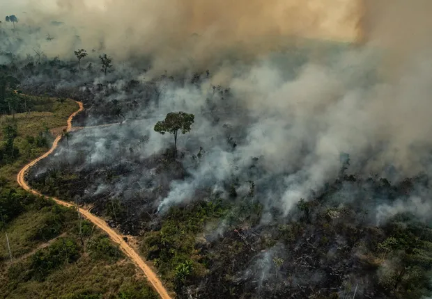 Bolívia declara estado de emergência nacional devido a incêndios florestais