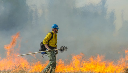 Flávio Dino marca audiência com representantes de dez estados para acompanhar medidas sobre incêndios