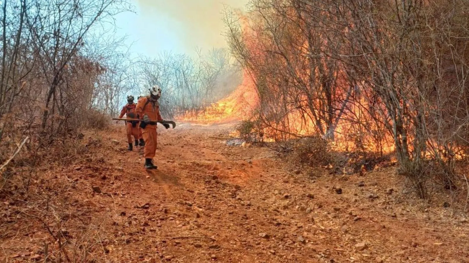 Com clima desfavorável, incêndio persiste há um mês no oeste da Bahia