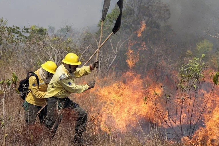 Incêndios na Amazônia aumentam emissão de CO2 em 60%