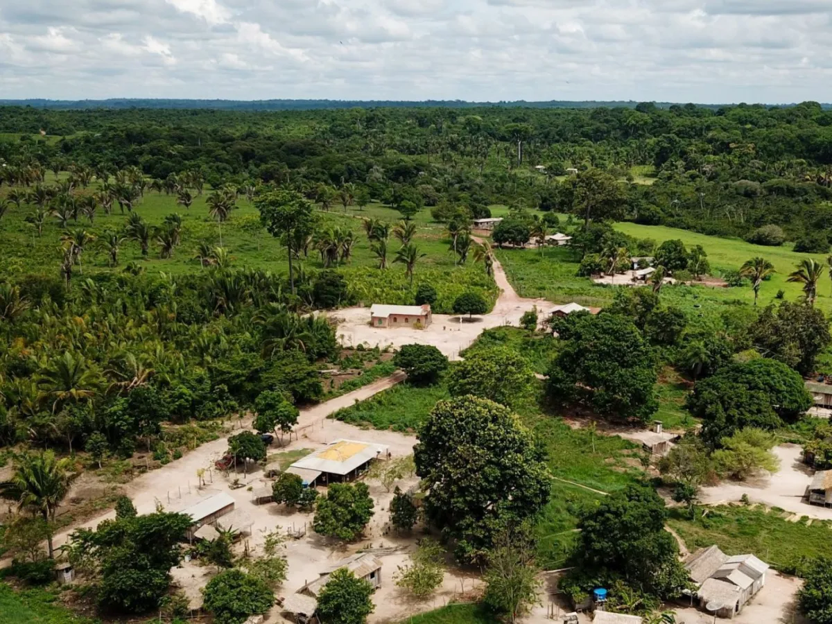 Créditos de carbono ajudam comunidades amazônicas no Pará