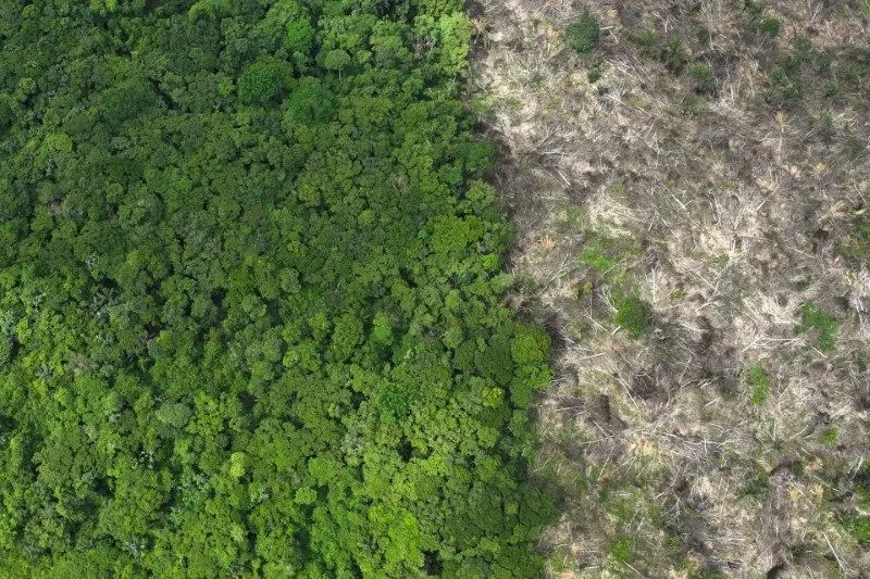 Amazônia registra o quinto mês consecutivo no aumento do desmatamento, diz Imazon