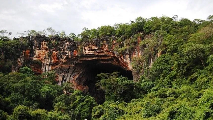 Brasil lidera descoberta de novas espécies e exploração de cavernas, diz estudo