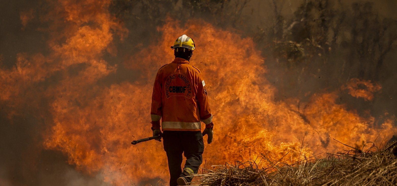 Brasil registrou 278,3 mil focos de incêndio em 2024, diz Inpe