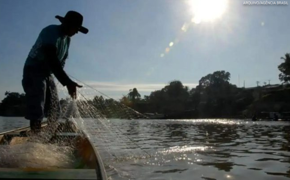 Criação de peixes em tanques federais cresce 19,4% e chega a 138,5 mil toneladas