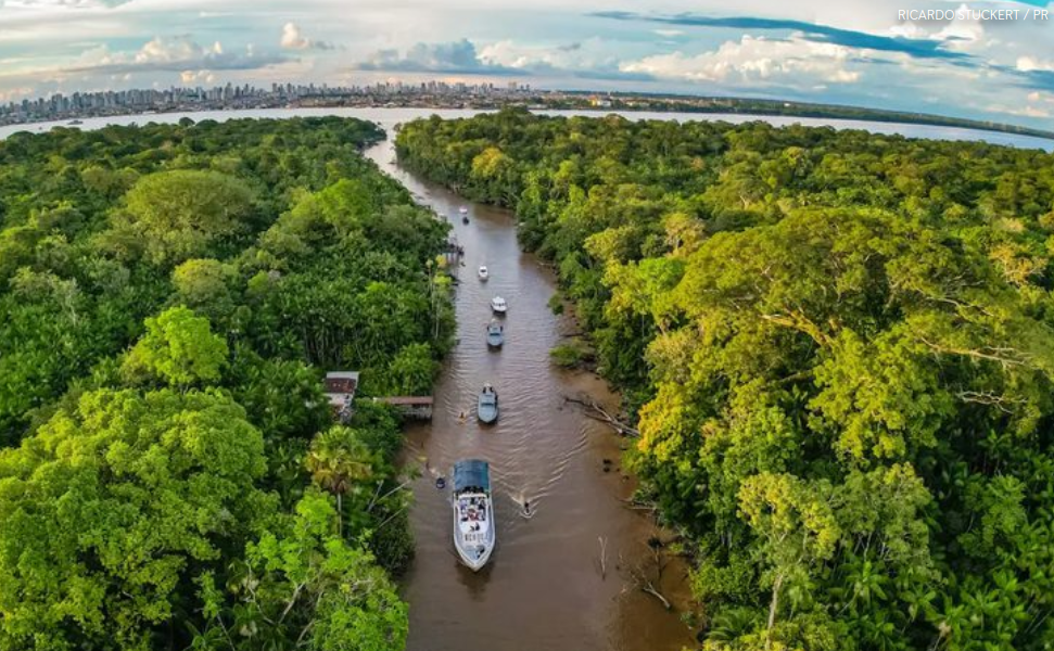 4° Leilão do Eco Invest vai fomentar bioeconomia e turismo sustentável com foco na Amazônia