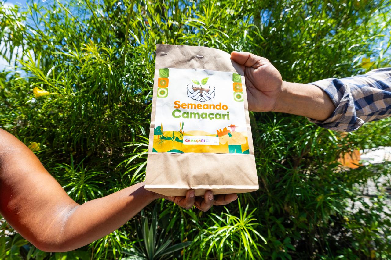 Semeando Camaçari: Sedap inicia distribuição de sementes de hortaliças para agricultura familiar