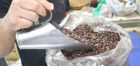 Café: safra do Brasil e do Vietnã melhora oferta, mas não deve derrubar preço