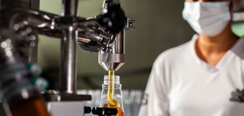 MEC regulamenta programa que fortalece formação profissional