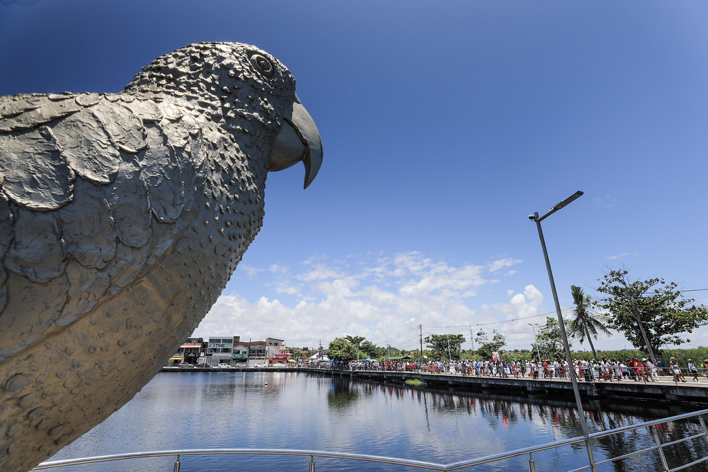 STT faz mudanças no trânsito e transporte de passageiros para a Lavagem de Jauá