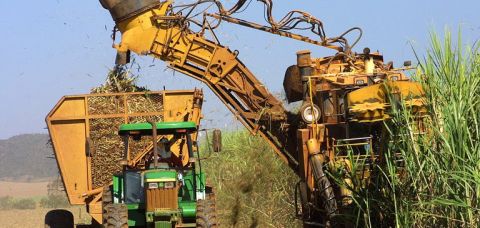 Banco do Nordeste quase triplica investimentos em agroindústrias na Bahia