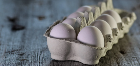 Produção baiana de ovos cresce pelo sexto ano consecutivo, diz IBGE