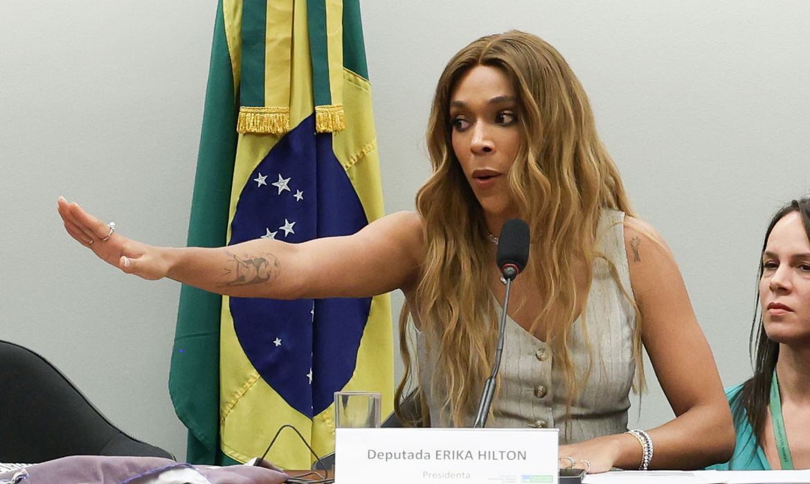 Comissão enfrentará “sistema organizado de opressão”, diz Erika Hilton