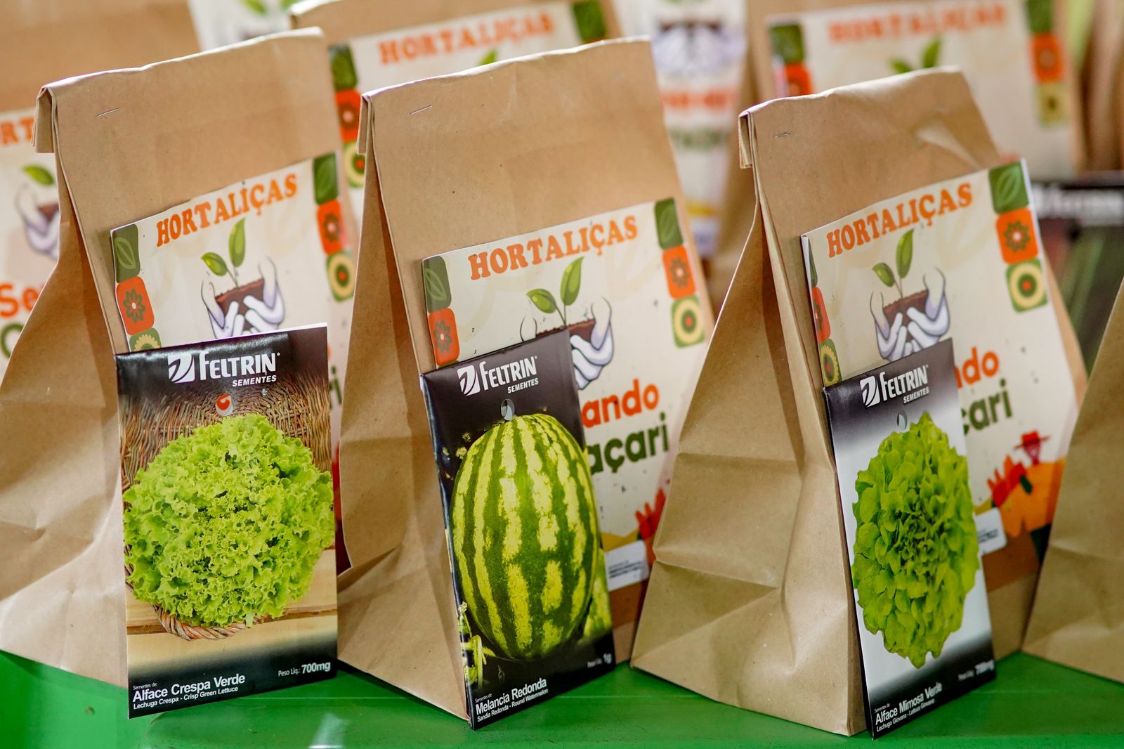 Nova distribuição de sementes beneficia mais de 100 agricultores de Barra do Pojuca