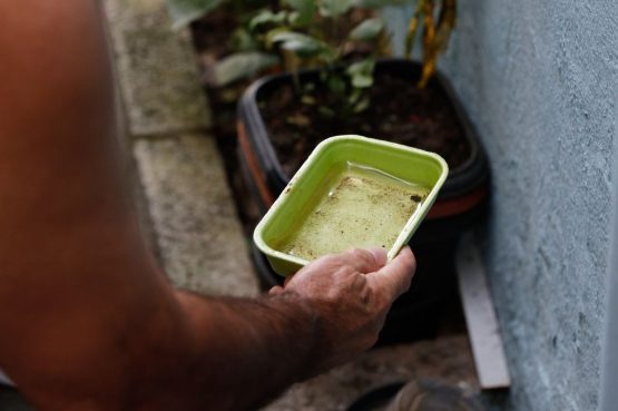 Bahia registra queda de 41% nos casos de dengue em 2026