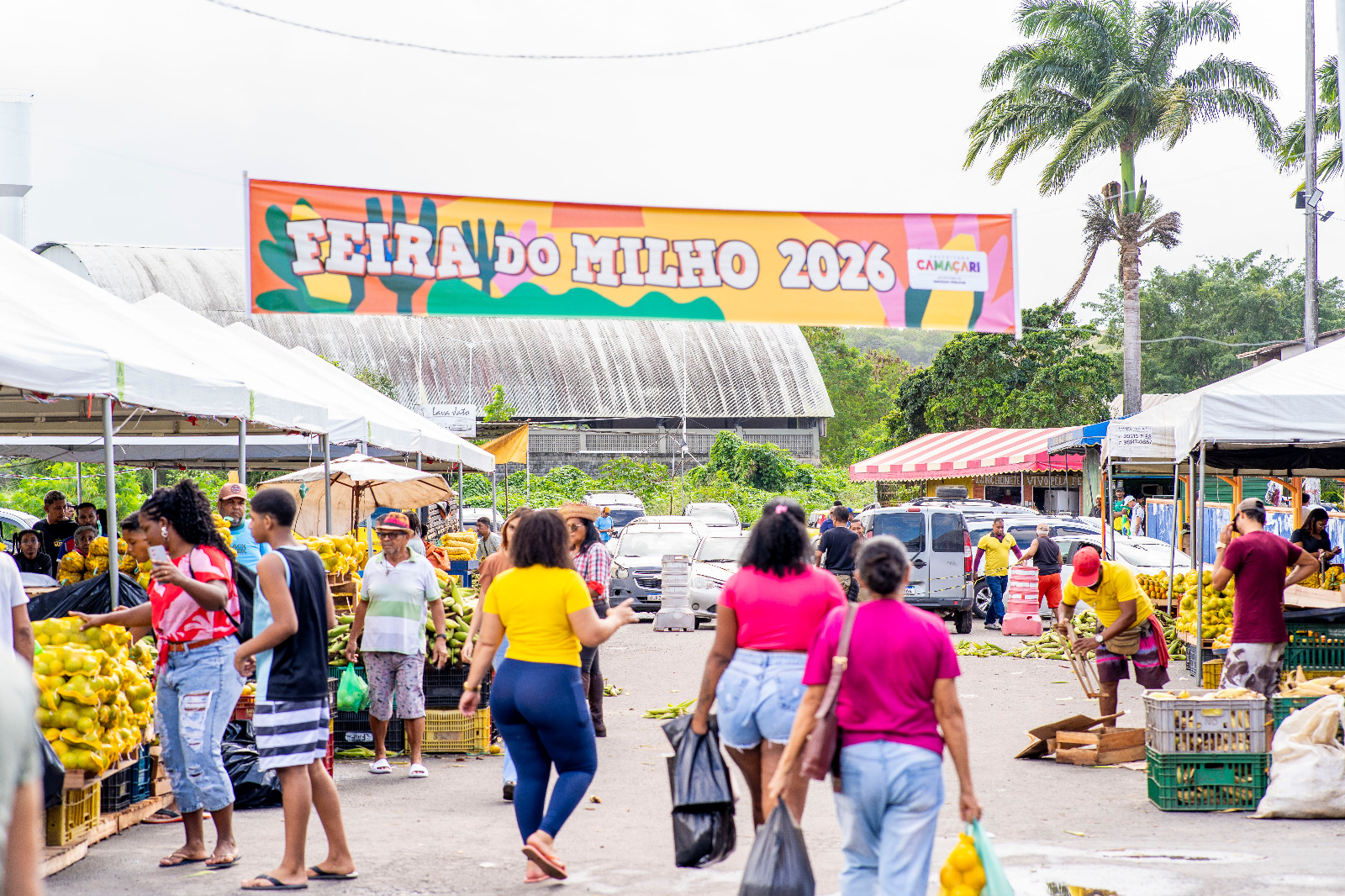 Feira do Milho movimenta comércio e preserva tradição junina em Camaçari