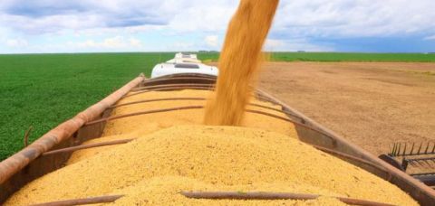 PIB do agronegócio baiano totalizou R$ 19,2 bi no 1º trimestre de 2026