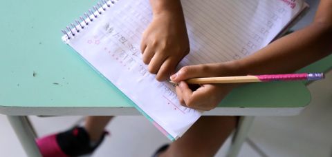 Educação política passa a integrar currículo escolar brasileiro